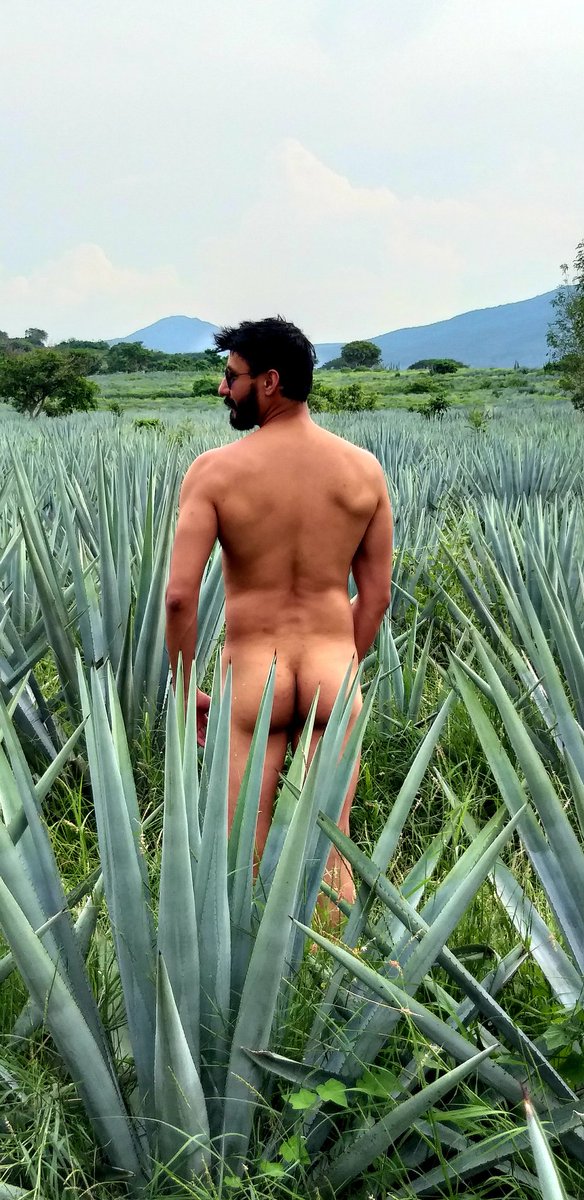 Edgar_JVDT's tweet photo. #TBT Tequila,Jalisco. https://t.co/dvxtIZuwHo