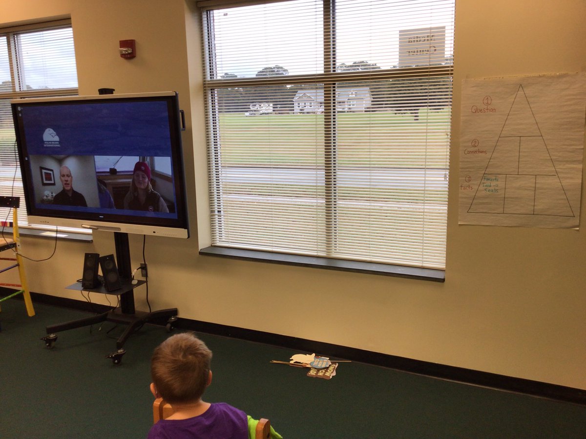MrsPageTurner's tweet photo. Big thanks for the @DiscoveryEd @PolarBears archive! 

We joined #TundraConnections live on Tuesday, but don’t want the other HAWKS to miss the fun! 

🟩 tundra photos
📝 #spotlightonstrategy 3-2-1
🐻‍❄️ polar bear facts

And bonus - we heard the shout-out to @NewTownESNC 🙌 https://t.co/qoUgQd6YG4