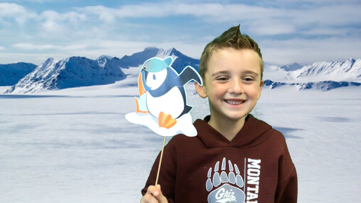 MrsPageTurner's tweet photo. Big thanks for the @DiscoveryEd @PolarBears archive! 

We joined #TundraConnections live on Tuesday, but don’t want the other HAWKS to miss the fun! 

🟩 tundra photos
📝 #spotlightonstrategy 3-2-1
🐻‍❄️ polar bear facts

And bonus - we heard the shout-out to @NewTownESNC 🙌 https://t.co/qoUgQd6YG4