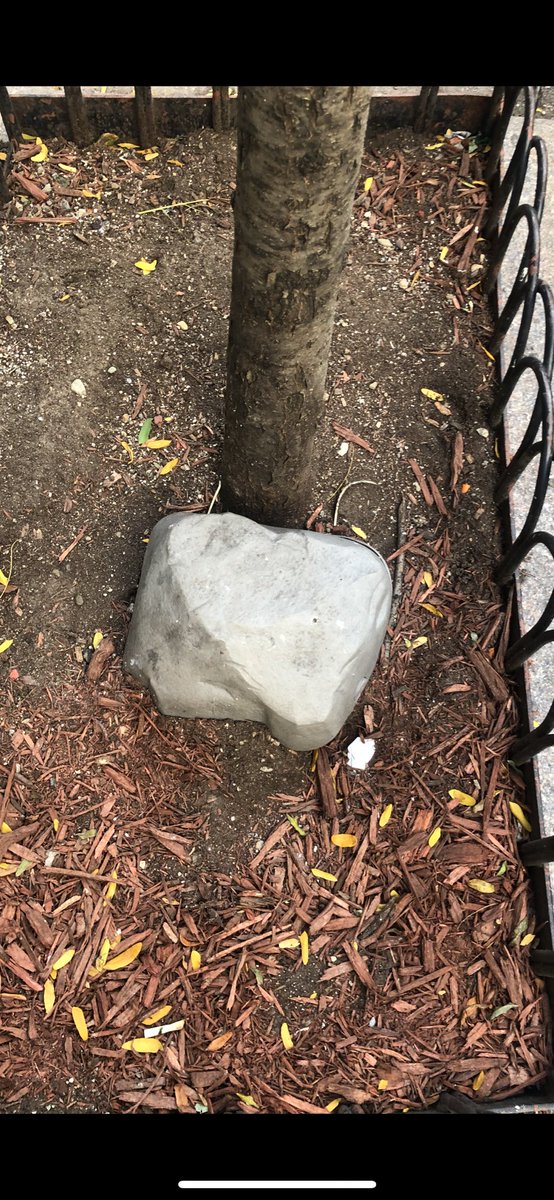 Found an <a href="/EtherRock/">EtherRock</a> while walking the streets of NYC. Rt like and follow for chance to win!