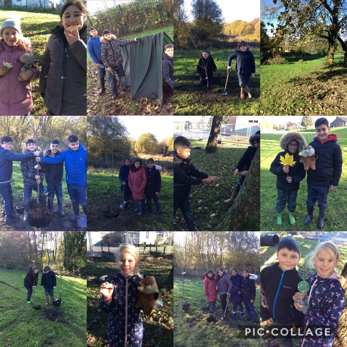 SJSNelson's tweet photo. Y5 love making use of the outdoors in their learning. Today in Forest school they perfected their shelter building techniques, planted new fruit trees on our school field and had some yummy treats cooked on the fire! #OutdoorClassroomDay @elementalforest 🌳💚⛺️ https://t.co/vg4PqvelUF