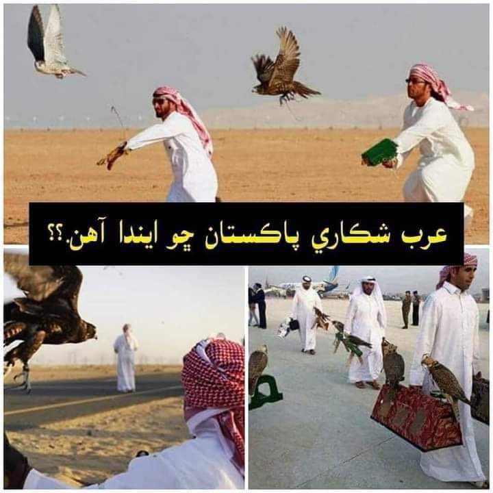 TahaAleet1's tweet photo. ڀٽائي توکي دانھن ٿئي 
سنڌ بيگناهه ٿئي😞
#JusticeForNazimJokhyo  #JusticeForNazimJokhio https://t.co/UJFgrmNnIh