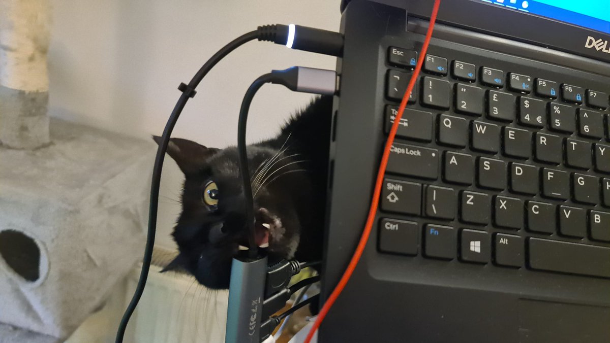 Ed Sum (he/him) 🏳️‍🌈❤🏴󠁧󠁢󠁳󠁣󠁴󠁿 tweet media