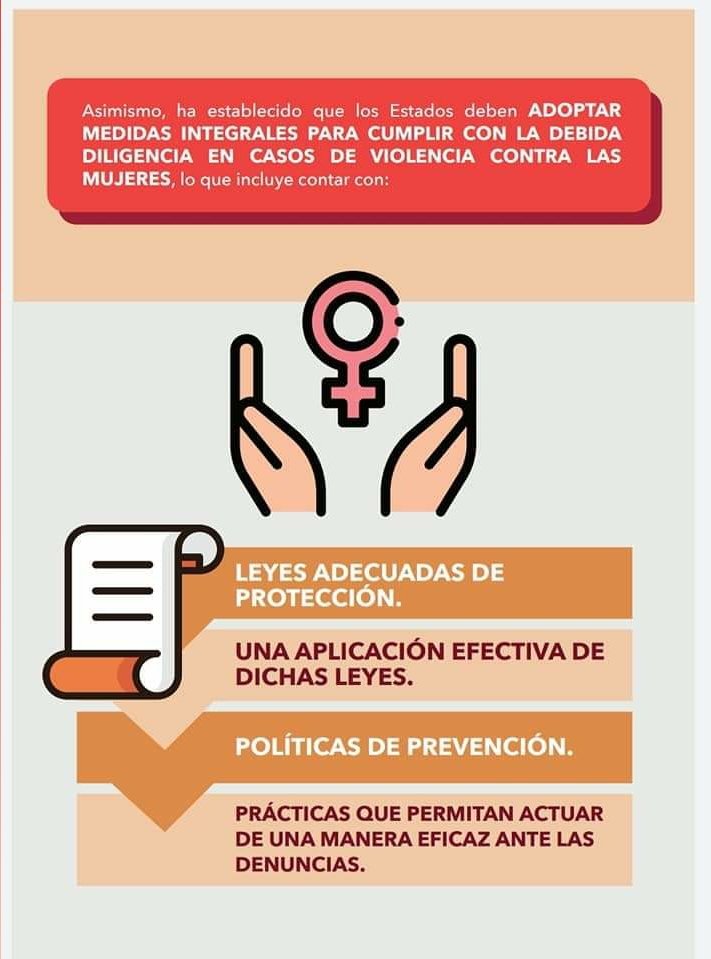 CorteIDH's tweet photo. #Infografía #DerechosHumanos La Jurisprudencia de la @CorteIDH accesible para todas y todos. Te compartimos la🖍🖌🖊 Infografía de la 👩🏿‍⚖️👨🏿‍⚖️Sentencia de la CorteIDH en el Caso Guzmán Albarracín y otras Vs Ecuador 🇪🇨 del 24 de junio de 2020. https://t.co/ylE52aCRvB