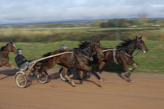 GUARATO Adrien tweet media