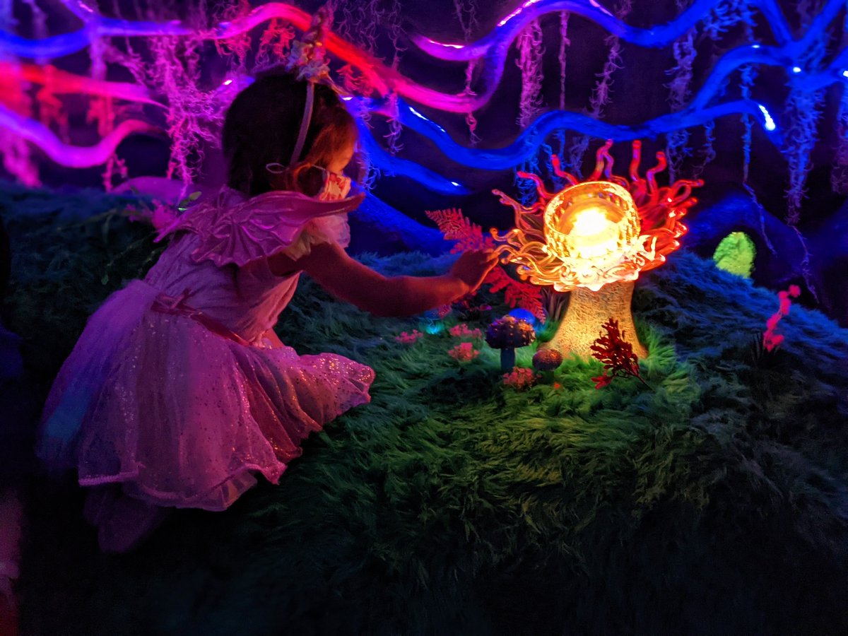 GrayAreaorg's tweet photo. Nocturne X tickets are now on sale for all of November! With new discounted pricing for kids under 12 after Nov 17.

"After a year and a half of social hibernation, this just may be the way to wake up your senses." - @sfstation 

Get your ticket now: https://t.co/KoCYWHEhVo https://t.co/UUIjo8hLZY