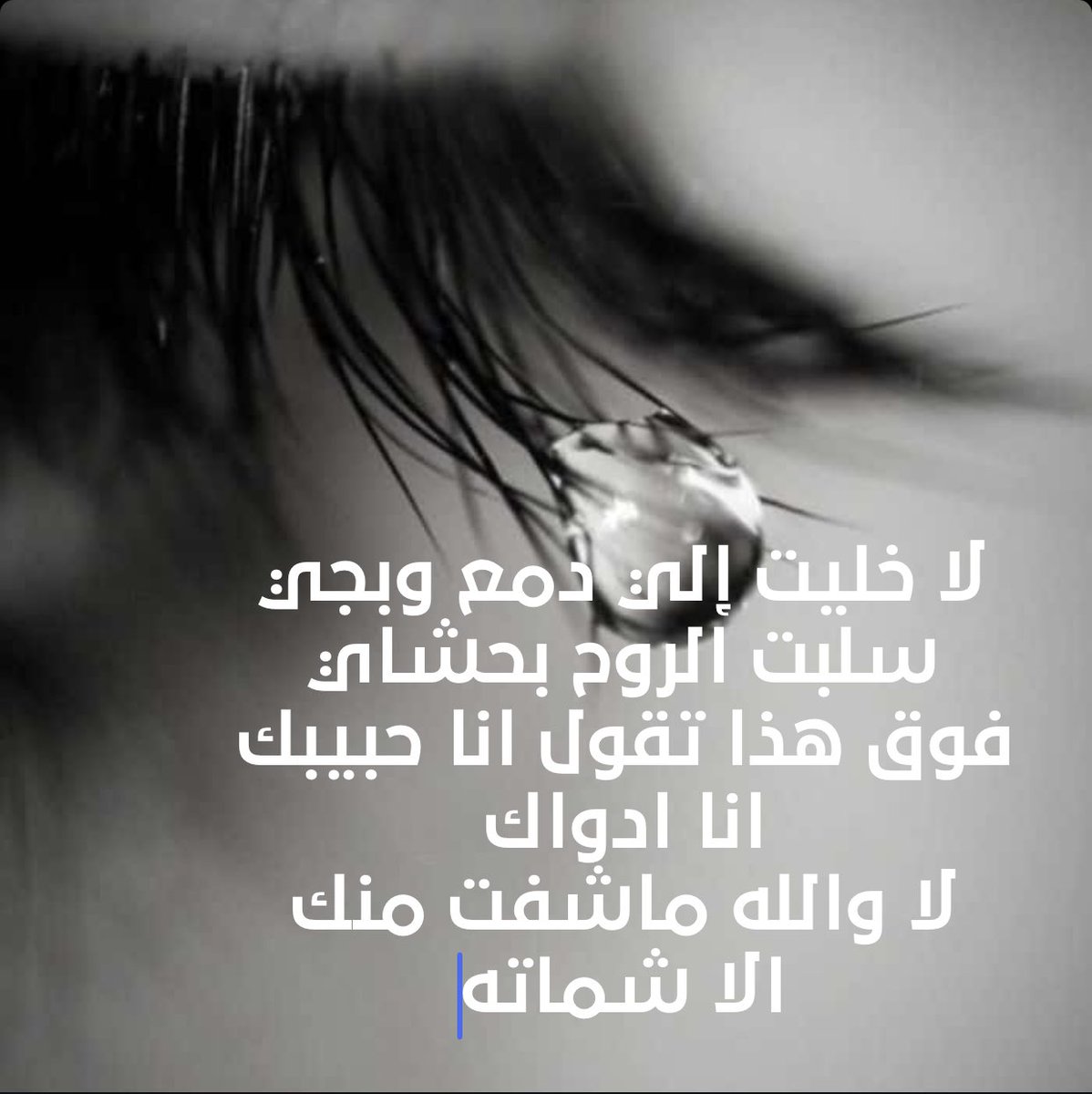 qalamrsaas's tweet photo. https://t.co/FpoSFSlmBy