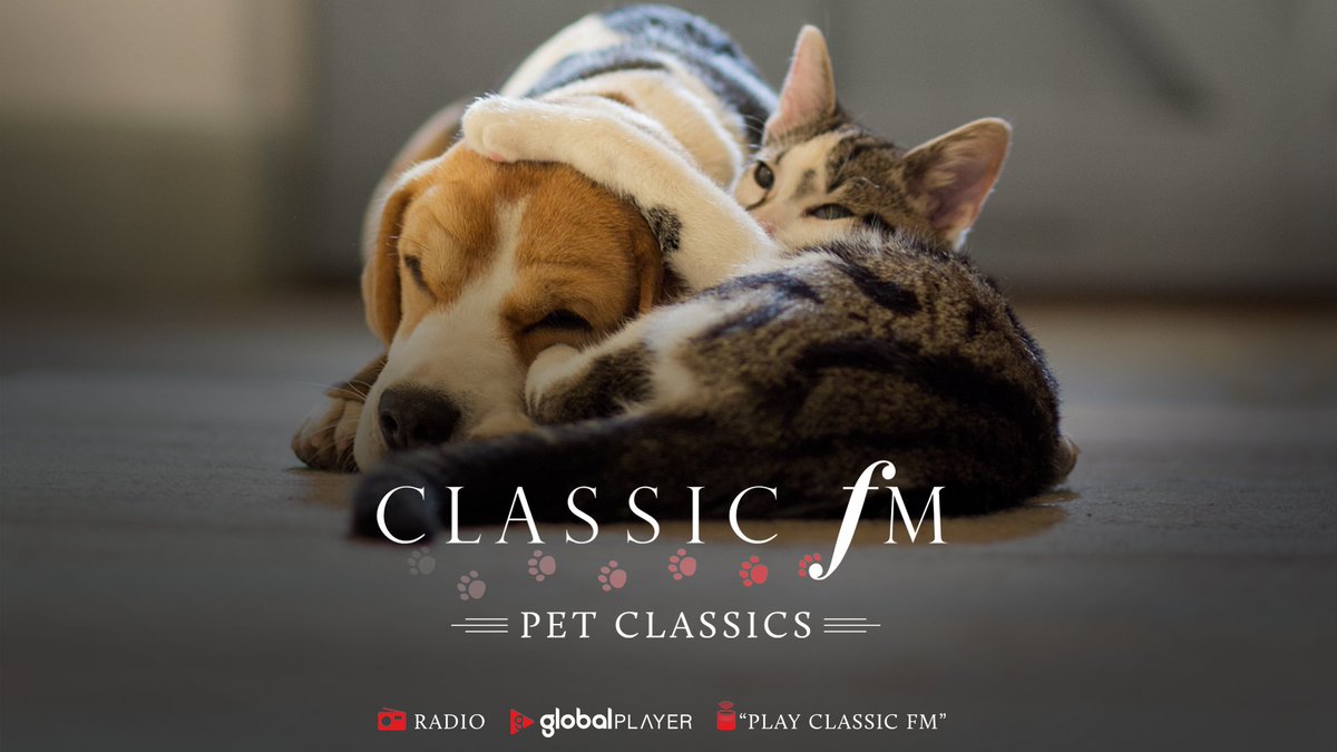 If the lights and bangs of Bonfire Night give your beloved pets stress and anxiety, we’re here with special shows filled with calming music and pet care tips from <a href="/RSPCA_official/">RSPCA (England & Wales)</a>.

Join <a href="/CharlotteHawkns/">Charlotte Hawkins</a> for Classic FM’s #PetClassics from 6pm this Friday and Saturday.