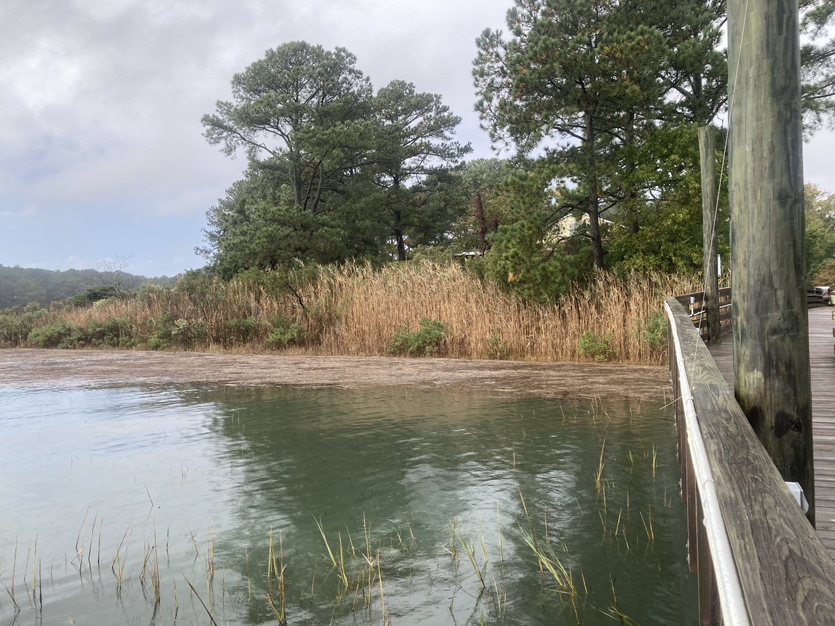WildCora's tweet photo. Need creative new ways to bring the coast to students when field trips aren’t feasible?
@KinseyTedford shared an adaptive (easy!) approach in today’s estuarine education session.
#cerfcoffeebreak #cerf2021
#repeatphotography #communityscience https://t.co/lBuoxRPcZT