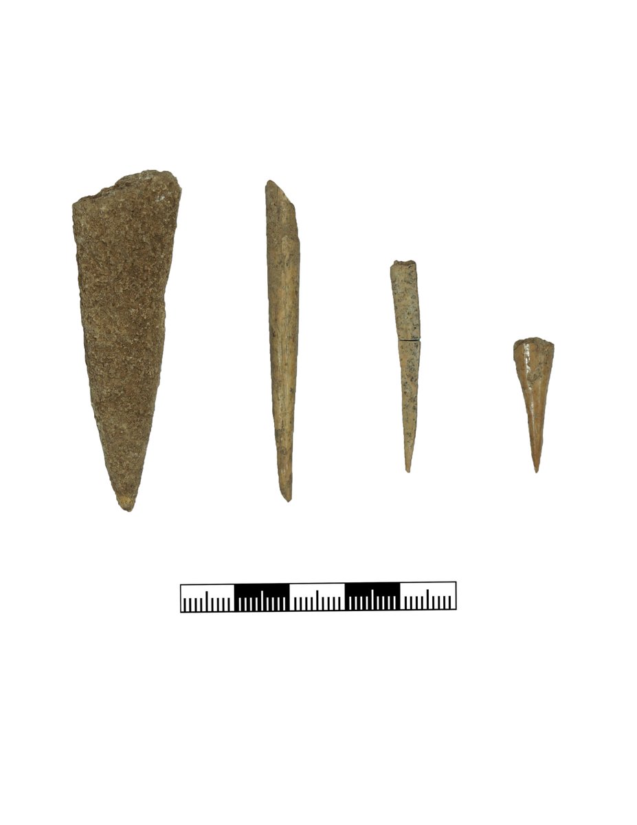 sefertepeproje's tweet photo. Sefertepe'21 Kemik Aletler
#bone tools #bız #iğne #awl #needle #Archaeology #arkeoloji #PrePotteryNeolithic #sefertepe #ÇanakÇömleksizNeolitik https://t.co/YZiuSRar6j