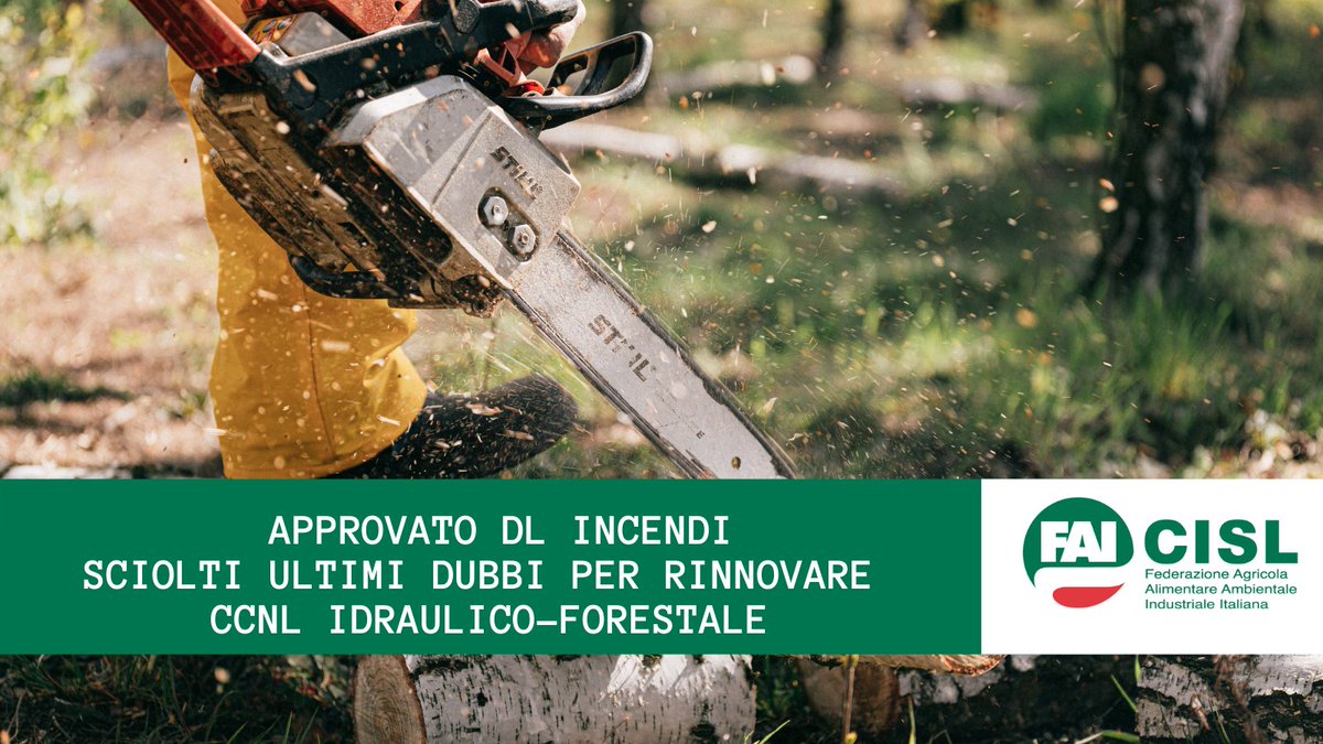 fai_cisl's tweet photo. #forestazione #DecretoIncendi approvato con emendamento che chiarisce natura #ccnl comparto. @OnofrioRota: "Percorso condiviso, sostenuto da Ministri @SPatuanelli @AndreaOrlandosp @renatobrunetta e @FedericoCaner #ConferenzaRegioni. Ora subito rinnovo". 
➡️https://t.co/UpnYjiN38F https://t.co/fy0tknXoLM