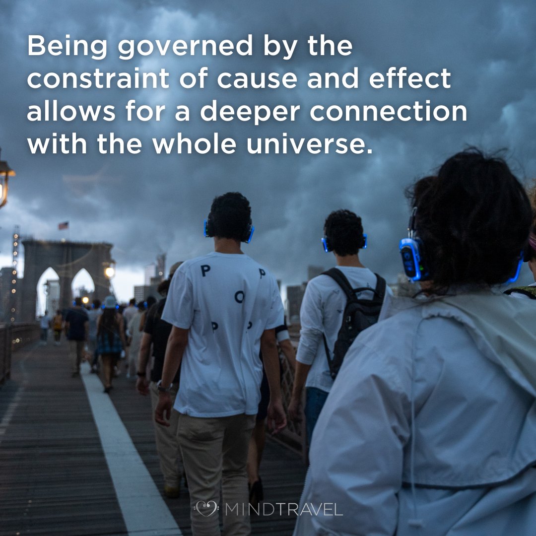 Murray Hidary tweet media