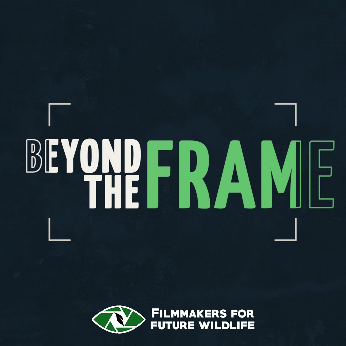 This Saturday we will be holding a live panel at <a href="/COP26/">COP26</a> hosted by <a href="/SteveBackshall/">Steve Backshall</a>, &amp; will be screening 5 brand new FF:W short films made specifically for the event!
Tune in to watch it live at 11:30am GMT at buff.ly/3BIQU0r
#BeyondTheFrame #TheBigDiscussion #ClimateCrisis