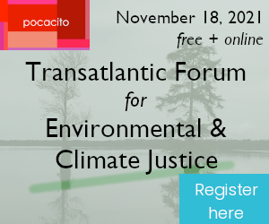 POCACITO tweet media