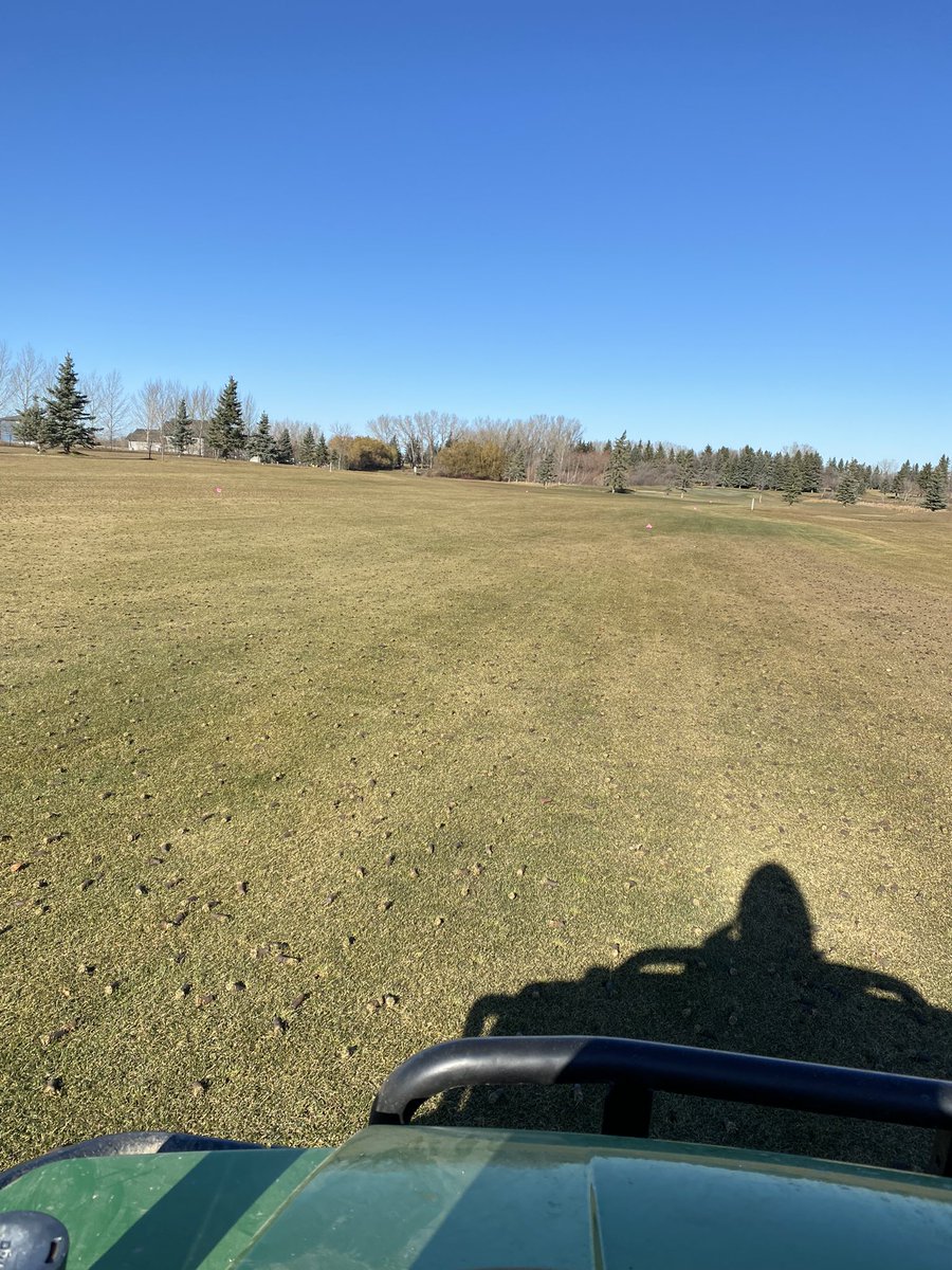 Myles Johb tweet media