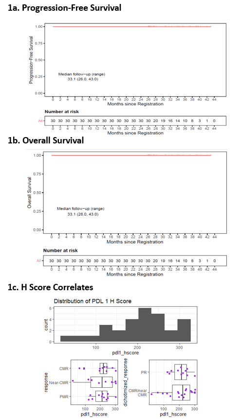 Allen et al - pembro followed by AVD in 30 patients with newly diag cHL stage II-IV. 
Those 'survival straight lines' just aren't budging!
Looking forward to seeing the follow on randomised study which is coming. 
ash.confex.com/ash/2021/webpr…
#ASH21 #lymsm