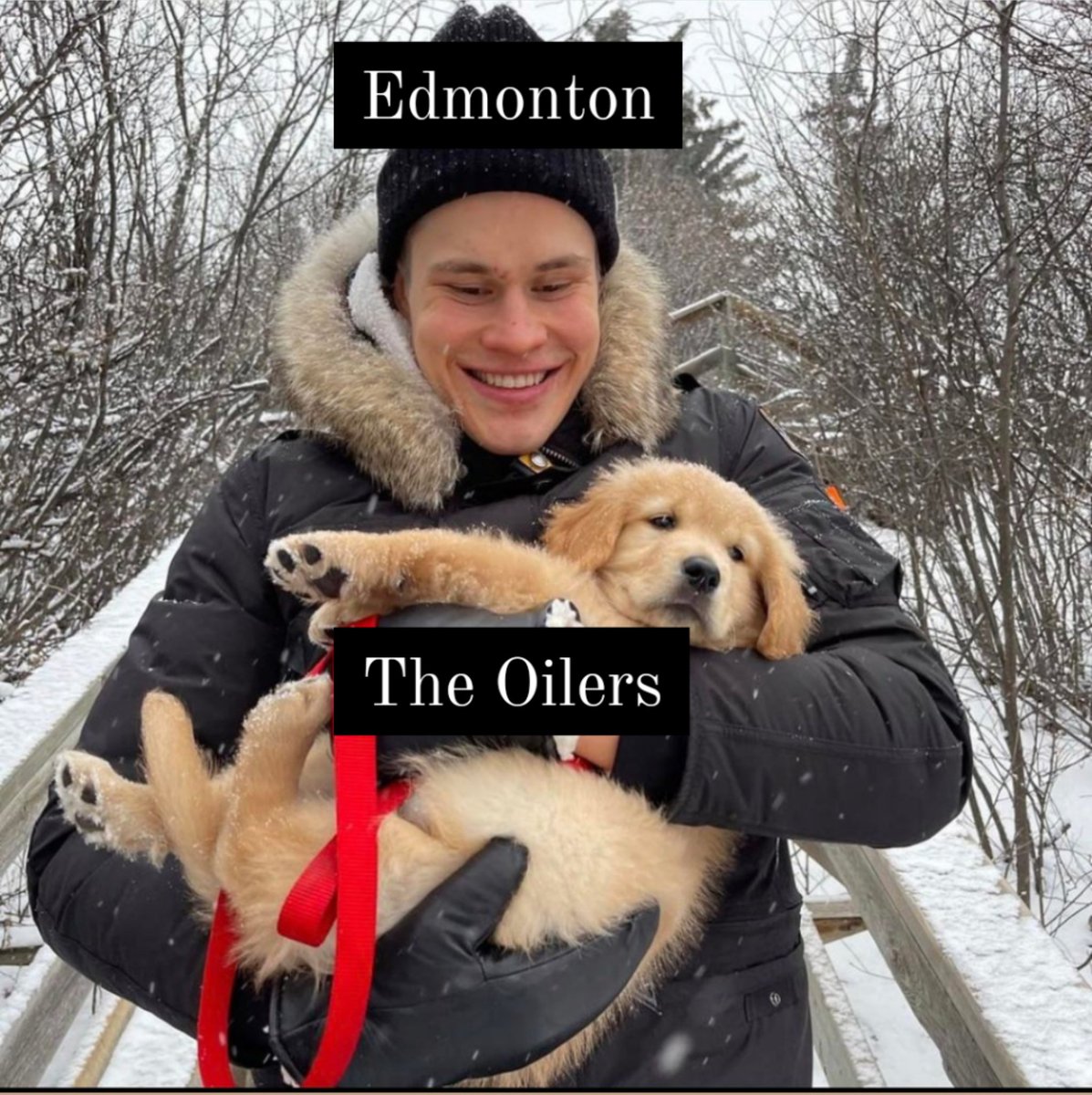 Courtney Theriault tweet media