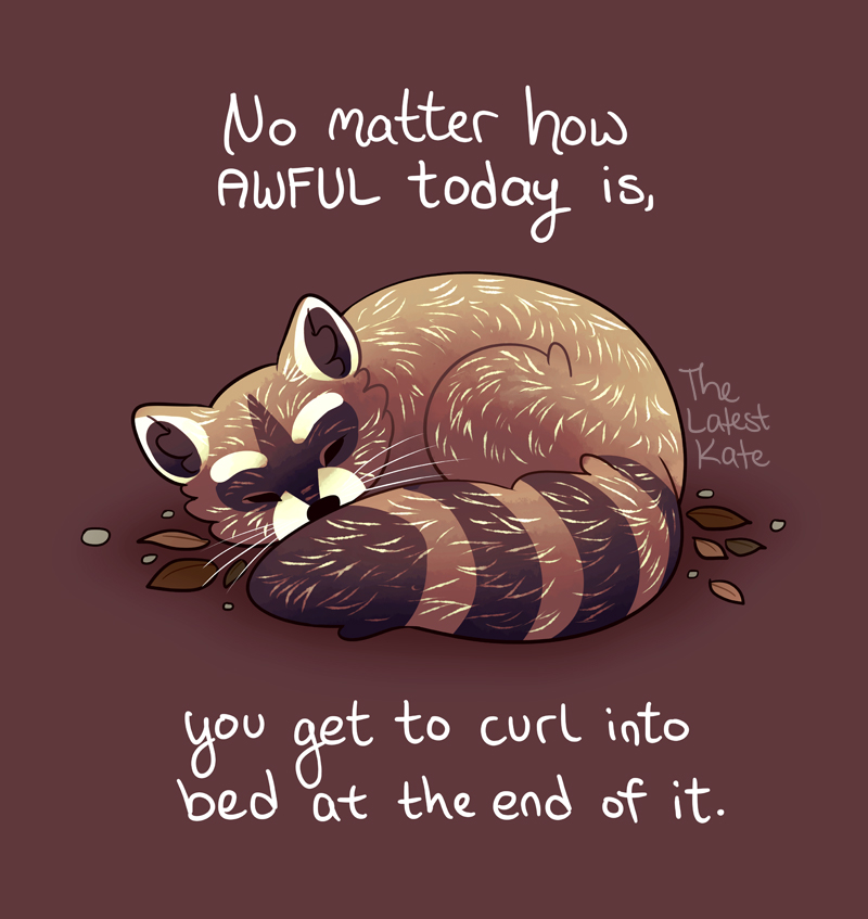 TheLatestKate tweet media