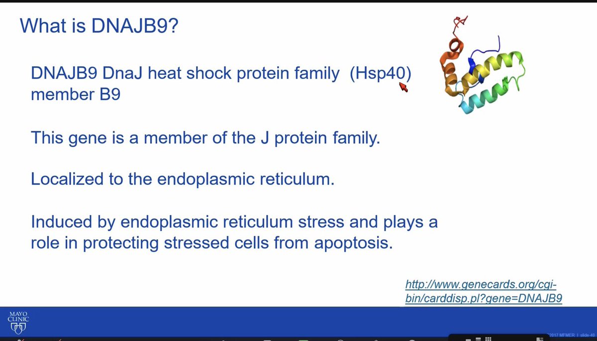 SaynaNorouzi's tweet photo. 🔥What is DNAJB9 protein?
🔥Is it abnormal?
Find the answers below👇 Dr. Fervanza
talk @ASNKidney @ASNCommunities
#Fibrillary #kidneyWk https://t.co/elqDi6LyuR