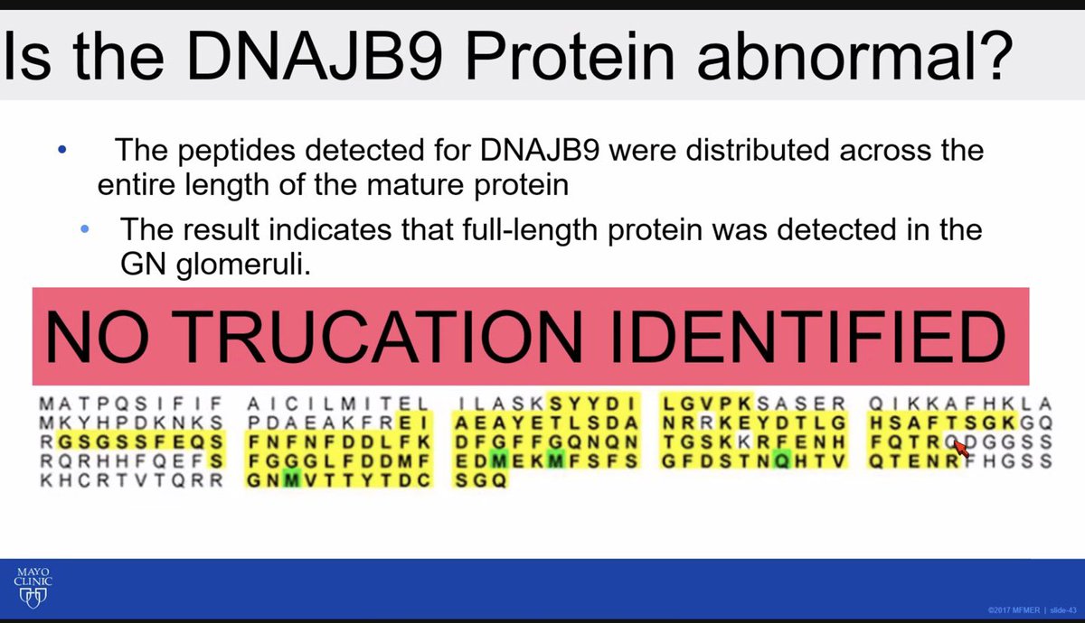SaynaNorouzi's tweet photo. 🔥What is DNAJB9 protein?
🔥Is it abnormal?
Find the answers below👇 Dr. Fervanza
talk @ASNKidney @ASNCommunities
#Fibrillary #kidneyWk https://t.co/elqDi6LyuR