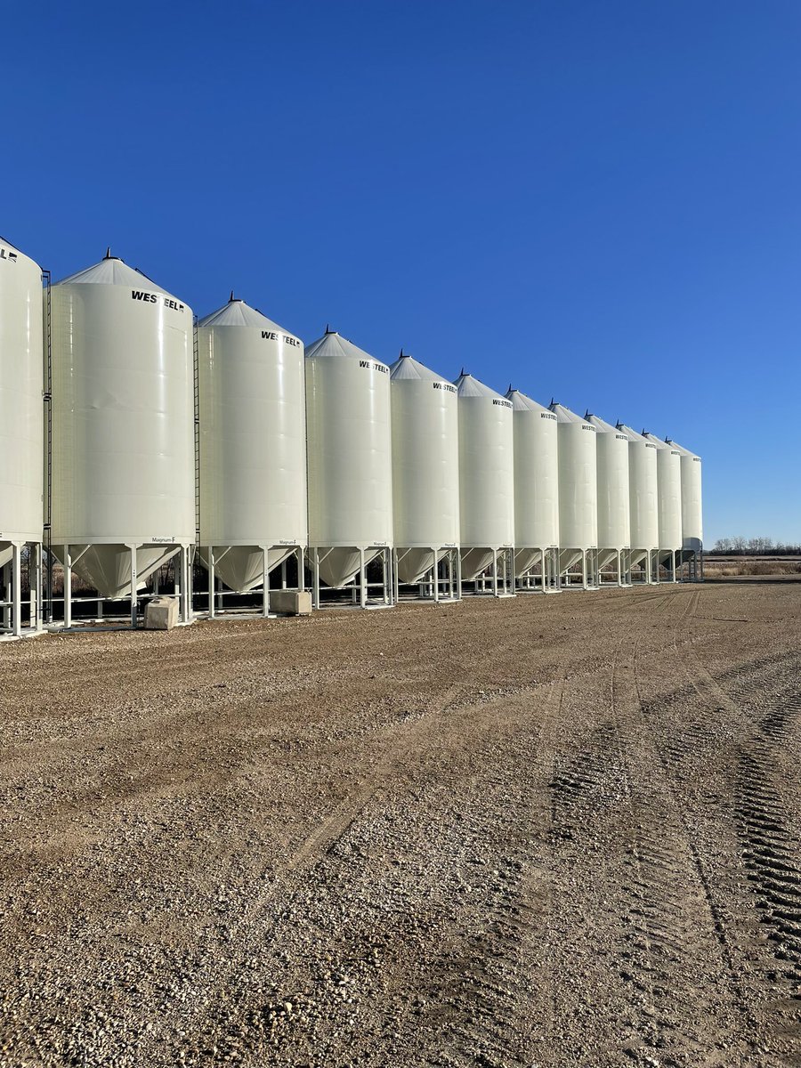 shymmer33's tweet image. Beauty row of Westeel smoothwalls in Northern Sask! One can only assume they are full of gold… I mean fertilizer! #Fallviews