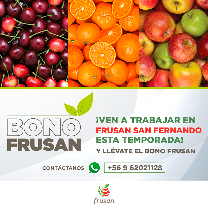 FrusanC's tweet photo. Ven a trabajar en Frusan Chile esta temporada de cerezas y gánate un auto 0 km
#frusanchile #haypega https://t.co/bxrCu5EOrp