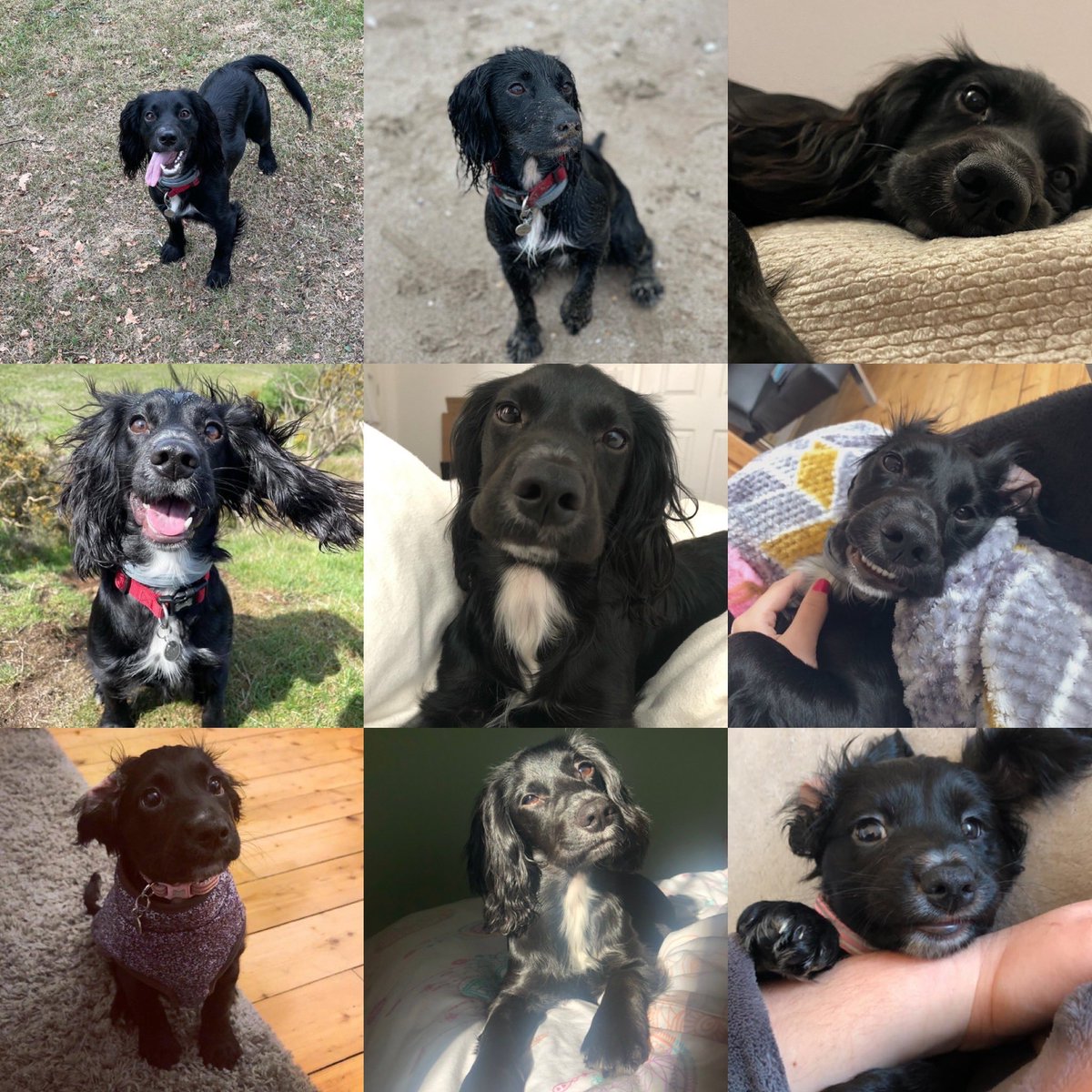 Miss Dodds tweet media