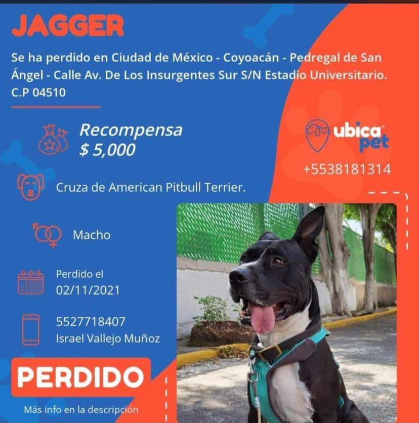 caarlosh's tweet photo. Les agradecería su RT pls https://t.co/oCvhF98hl8