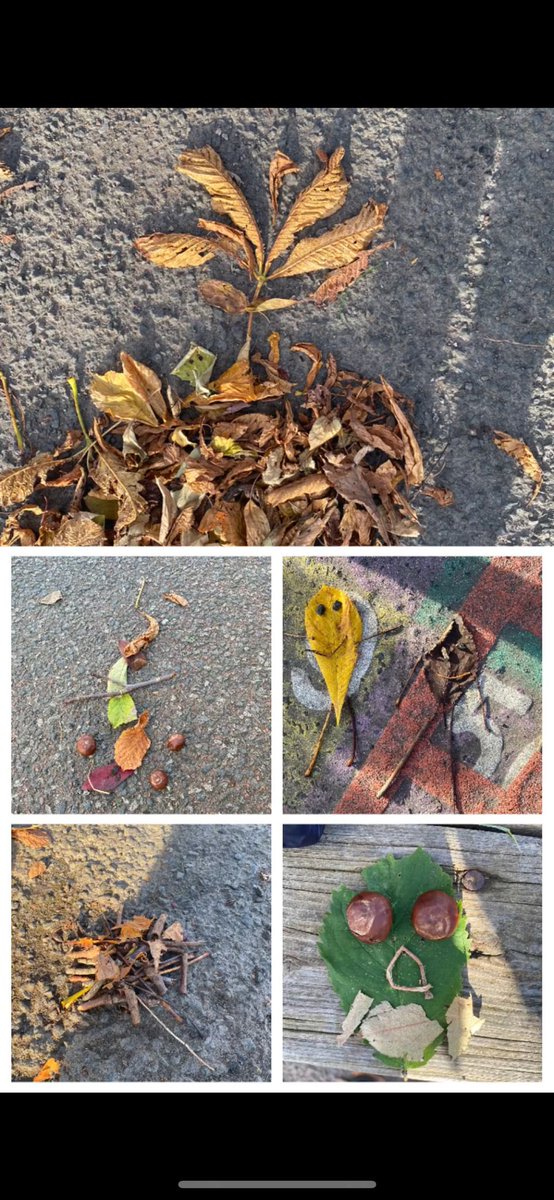 bannps's tweet photo. P2M embraced the fallen autumn leaves today. They used them for doubling numbers in numeracy, forming their story red words in literacy and to make beautiful art work! #OutdoorClassroomDay https://t.co/Gp3I5tD0QN