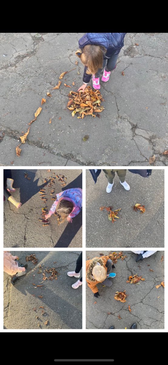 bannps's tweet photo. P2M embraced the fallen autumn leaves today. They used them for doubling numbers in numeracy, forming their story red words in literacy and to make beautiful art work! #OutdoorClassroomDay https://t.co/Gp3I5tD0QN