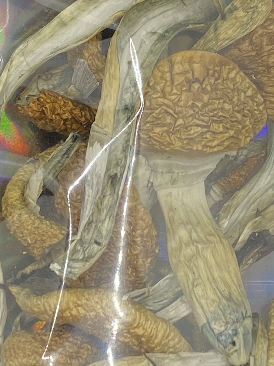 BCsBestExpress's tweet photo. Do you like to trip?? #mushrooms #mmemberville #PhotoOfTheDay #FridayFeeling We have that! https://t.co/dGfyj5HDIT