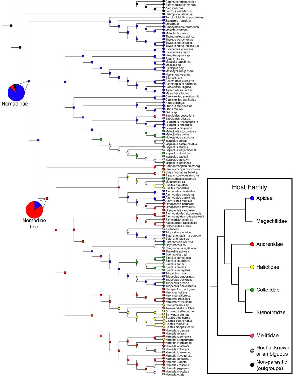 Trevor Sless, Ph.D tweet media