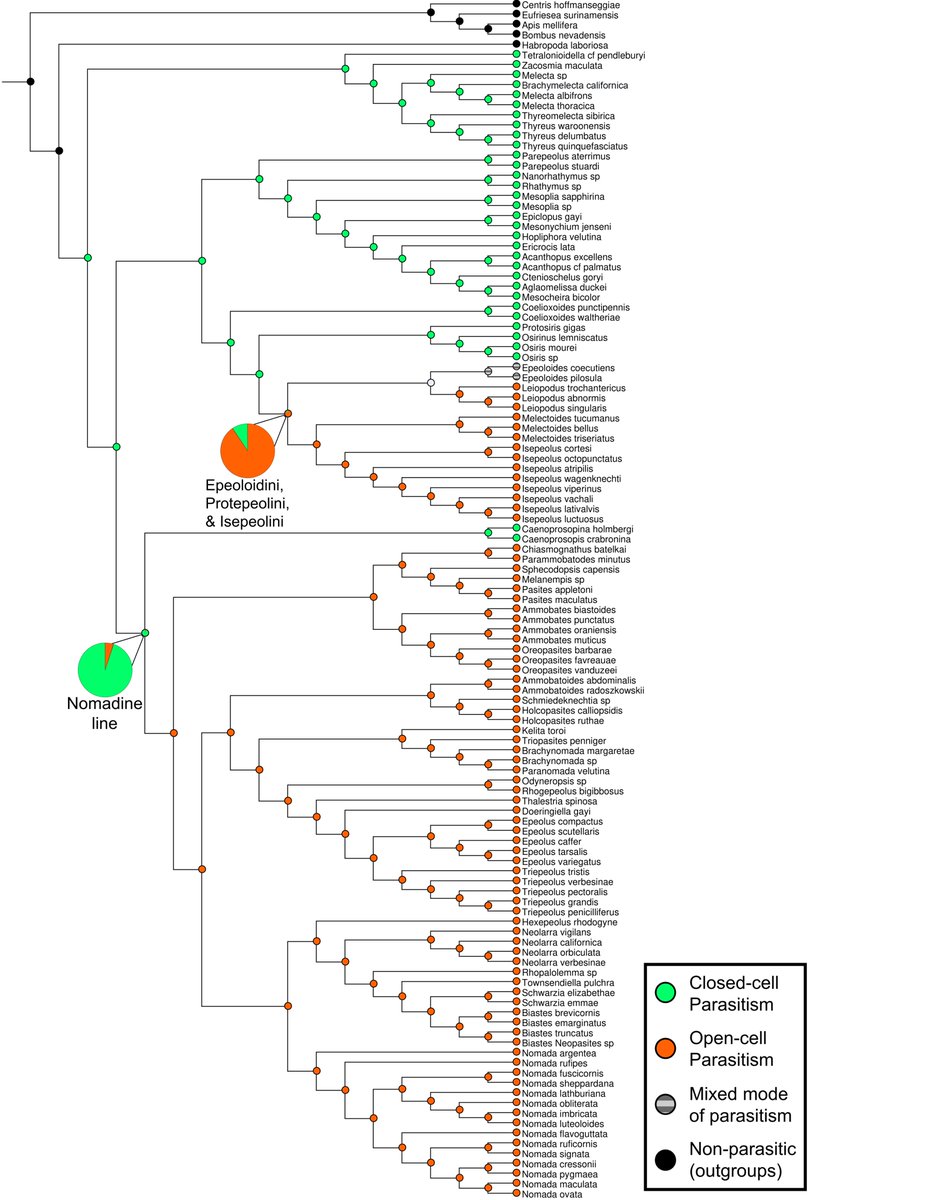 Trevor Sless, Ph.D tweet media