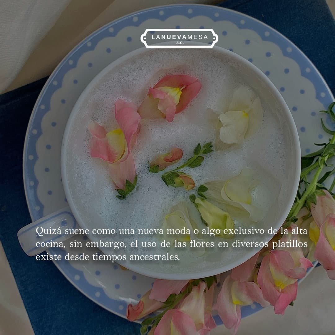 Datos interesantes, ¡comparte! 

¡Contáctanos en estos teléfonos temporales! Informes. 👇
👉5620966458
👉5539306679
#concabamx. #sommelierprofesional #aprendiendodevinos #winelover 
#conocimientodaseguridad
#LaNuevaMesa