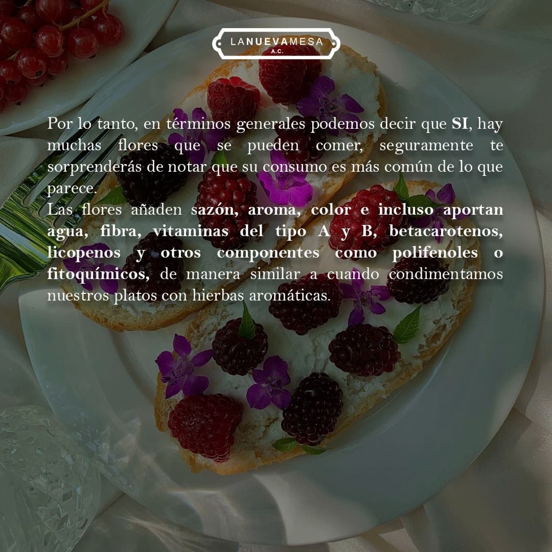 concabamx's tweet photo. Datos interesantes, ¡comparte! 

¡Contáctanos en estos teléfonos temporales! Informes. 👇
👉5620966458
👉5539306679
#concabamx. #sommelierprofesional #aprendiendodevinos #winelover 
#conocimientodaseguridad
#LaNuevaMesa https://t.co/HcgJb7Tx07