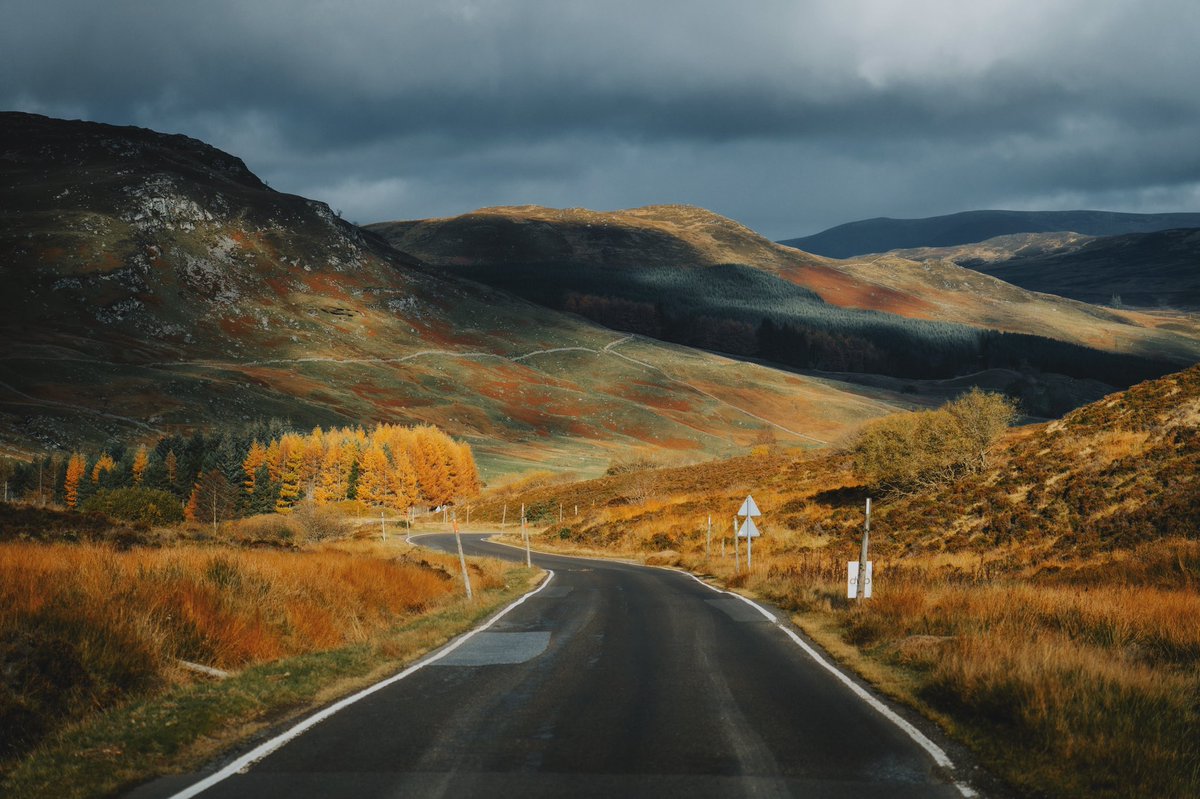 Daniel Casson tweet media