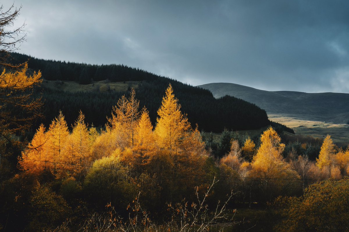 Daniel Casson tweet media