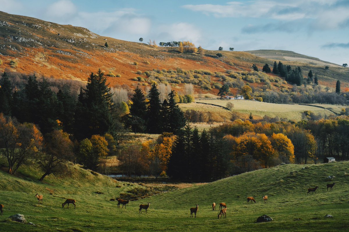 Daniel Casson tweet media