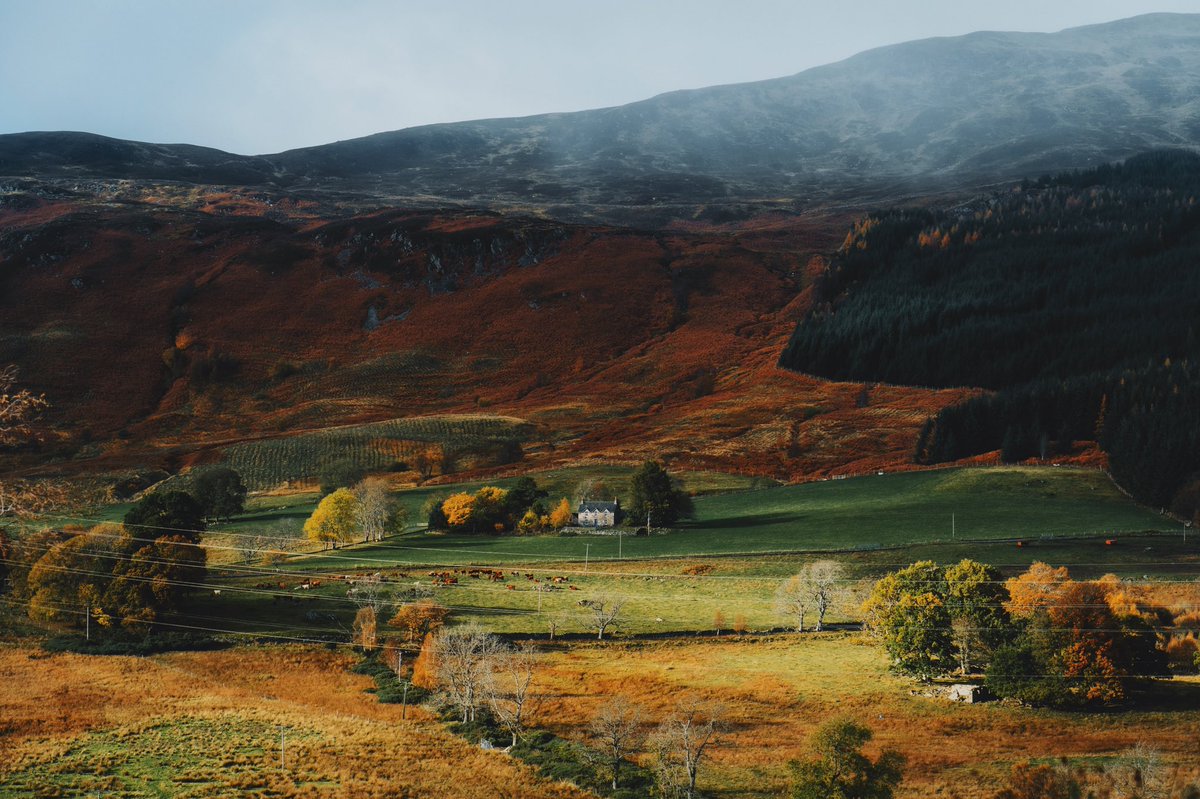 Daniel Casson tweet media