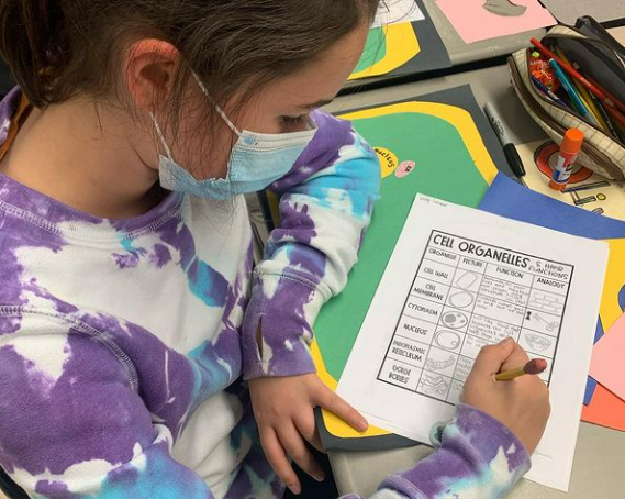 PemSch_news's tweet image. Students in Mrs. Duncan&apos;s class are hard at work learning all about cells.  #TitansLearn #TitanPride #LearninginAction