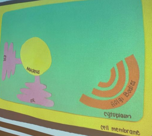 PemSch_news's tweet image. Students in Mrs. Duncan&apos;s class are hard at work learning all about cells.  #TitansLearn #TitanPride #LearninginAction