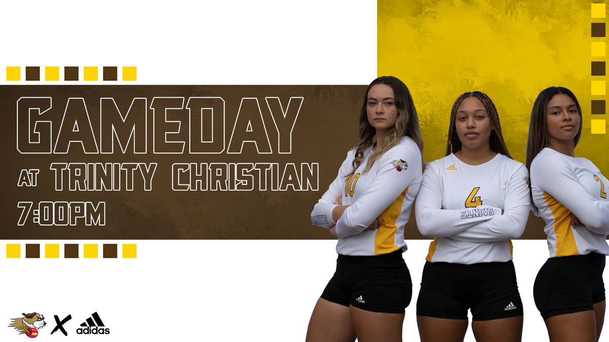 USF Fighting Saints tweet media