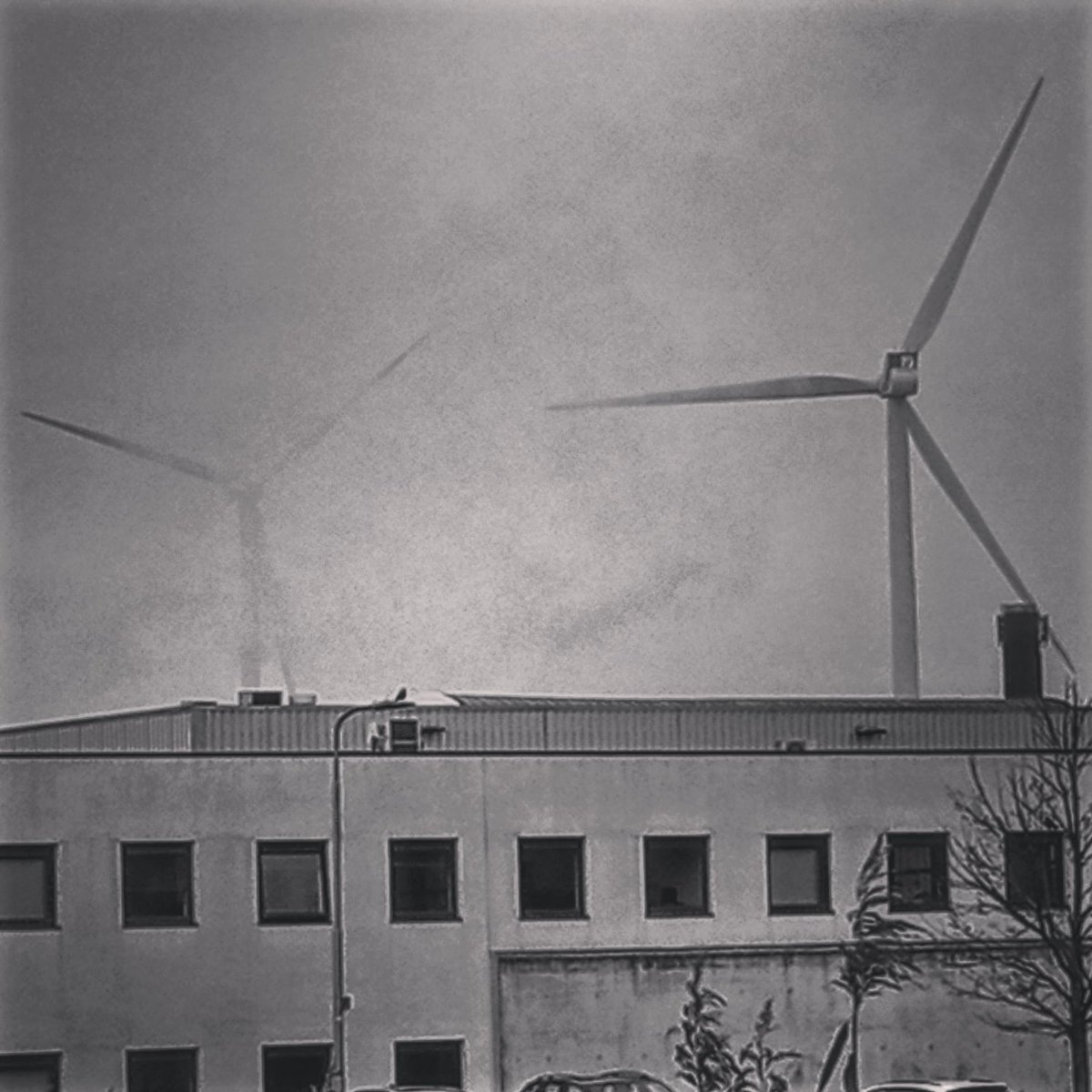 tom_ash86's tweet photo. #netherlands #northbrabant #tilburg #windmills #wiatraki #factorysmoke #dymfabryczny #roadoverthecanal #droganadkanałem #bnw #bnwphotography #blackandwhite #czerńibiel #blackandwhitephotography #pic #zdjęcie #xiaomi #redmi9photography #igerstilburg #instagramfilter #willowfilter https://t.co/2PkInq89mZ