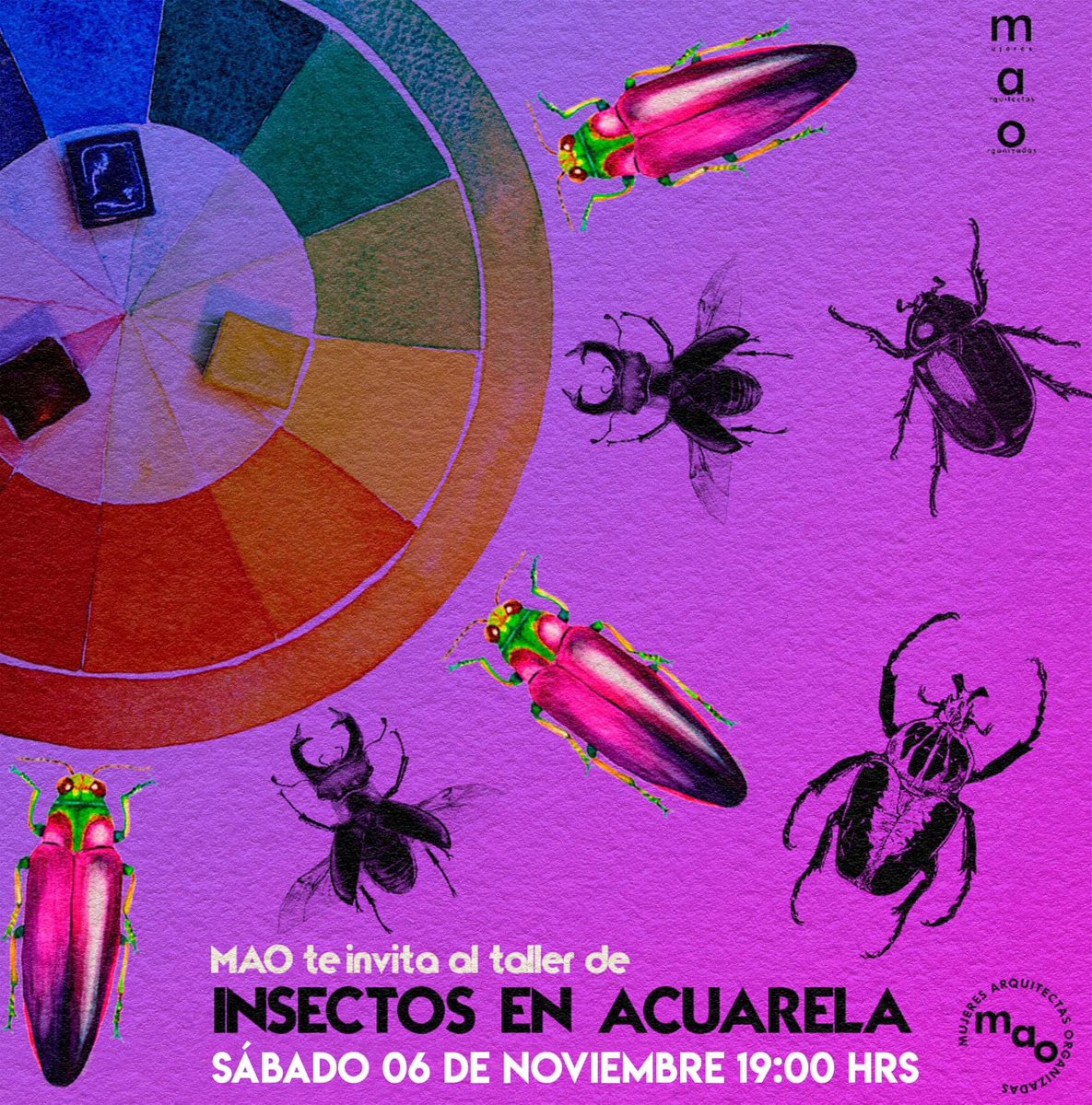 fesaragon_mao's tweet photo. TALLER: INSECTOS EN ACUARELA 
Imparte: Mtra. en Arq. Esmeralda Boyas
Sábado 06 de noviembre a las 19:00 hrs
Vía Zoom 
Gratuito y separatista ❤ 

https://t.co/xUfeBOCafY https://t.co/I6kjVpRkhC