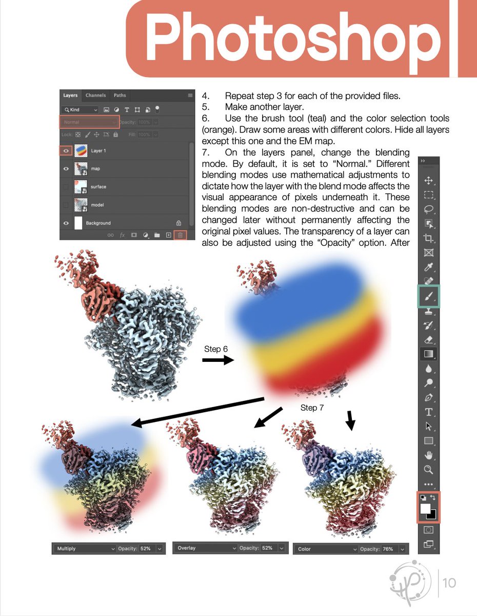 Hailee Perrett tweet media