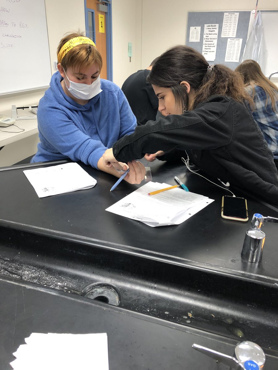 MrsOdajima's tweet photo. Such a fun lab in Mrs. Perry’s anatomy class today! Learning about thermoreceptors in the skin! #ourWHY @China_Spring_HS https://t.co/NKKkr2E30y