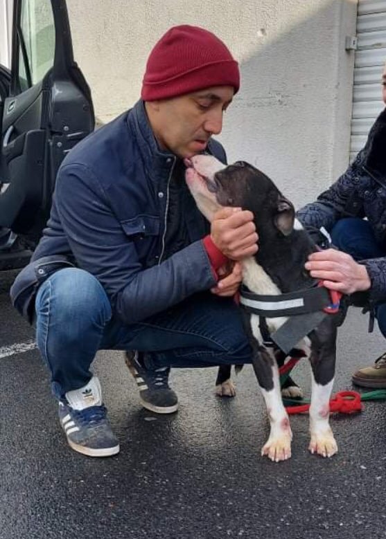MaitreGerard's tweet photo. #protectionanimale La pugnacité de l’association GIVEN’CHATS et le soutien décisif de la @SPA_Strasbourg ont payé : notre beau NOIR&amp;BLANC est sauvé ce soir. Merci à @VANLERENBERGHEJ @senateur61 @VilleDeLens pour cette HAPPY END @lavoixdunord @F3nord @fbleunord @ActuPasdecalais https://t.co/WkylUBlidJ