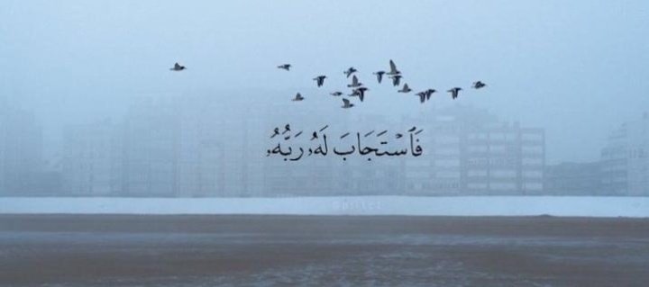 I3jl3's tweet photo. #ام_وايل_تنخاكم_ياشمر10 https://t.co/0mD9yCKFDR