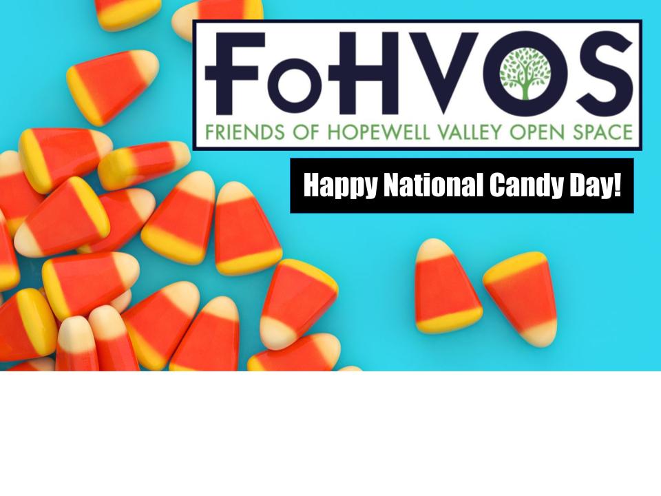 November 4th is National Candy Day! Enjoy the best snack you got from your Halloween and savor the moment! #fohvos