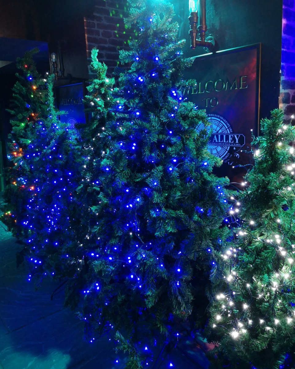 SeekTheMagicOrg's tweet photo. "It's beginning to look a 'bit' like Christmas!"
#stratforduponavon #warwickshire #bellcourtlife #magicalley #icekingdom #christmasiscoming
https://t.co/GLi903vRDr https://t.co/nYyHhgInmW